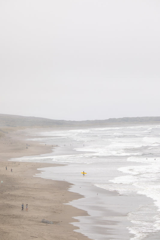 Photography by Salt Creek Prints of: Salmon Creek Beach 7523, surfer at Salmon Creek Beach, Bodega Bay.