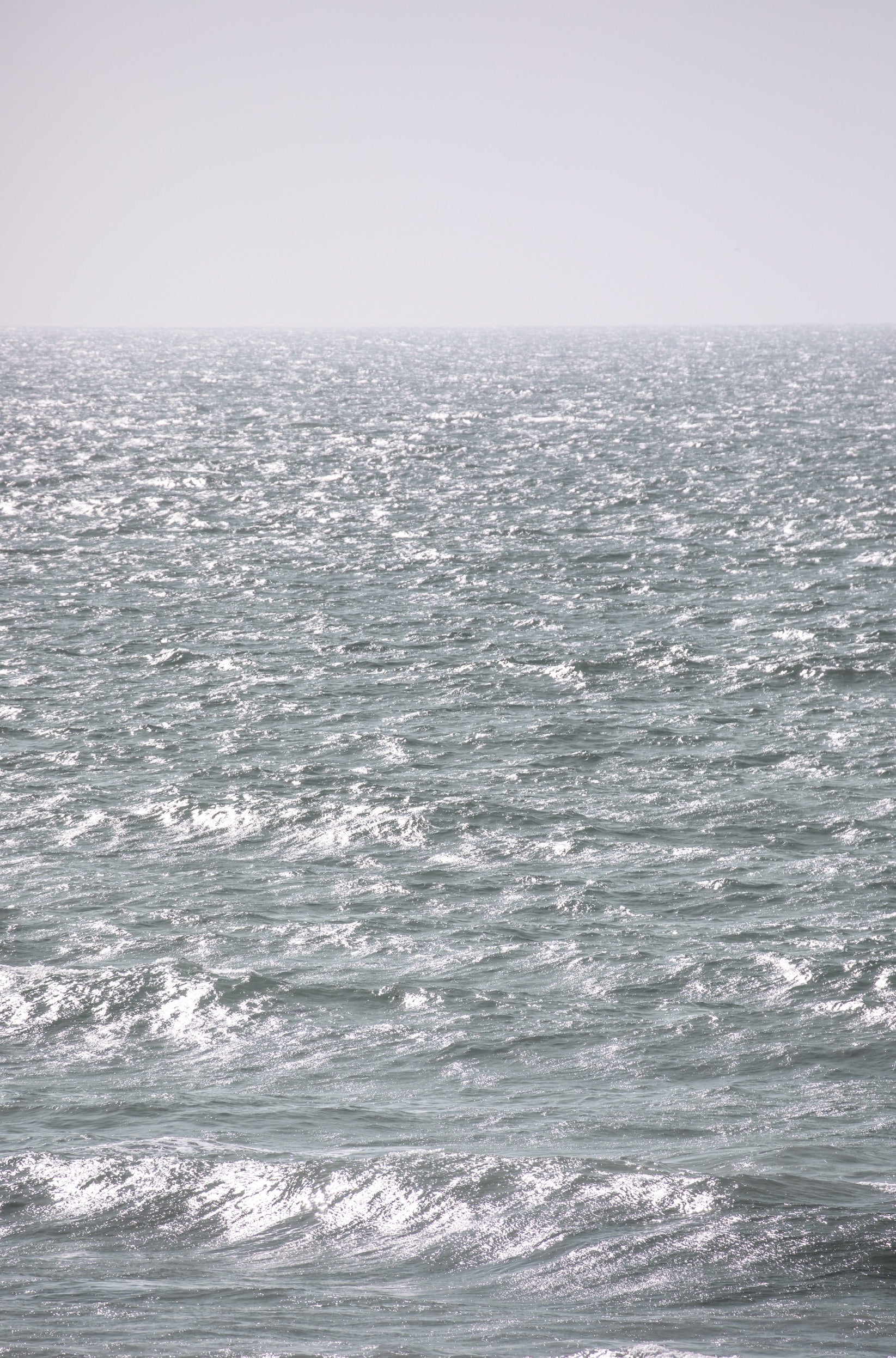 Photography by Kim Dybczak of: Cardiff 5056
