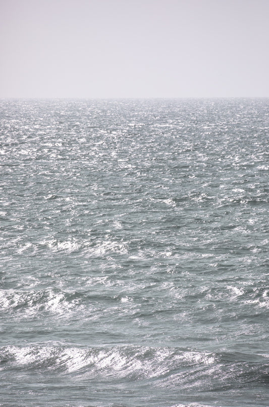 Photography by Kim Dybczak of: Cardiff 5056