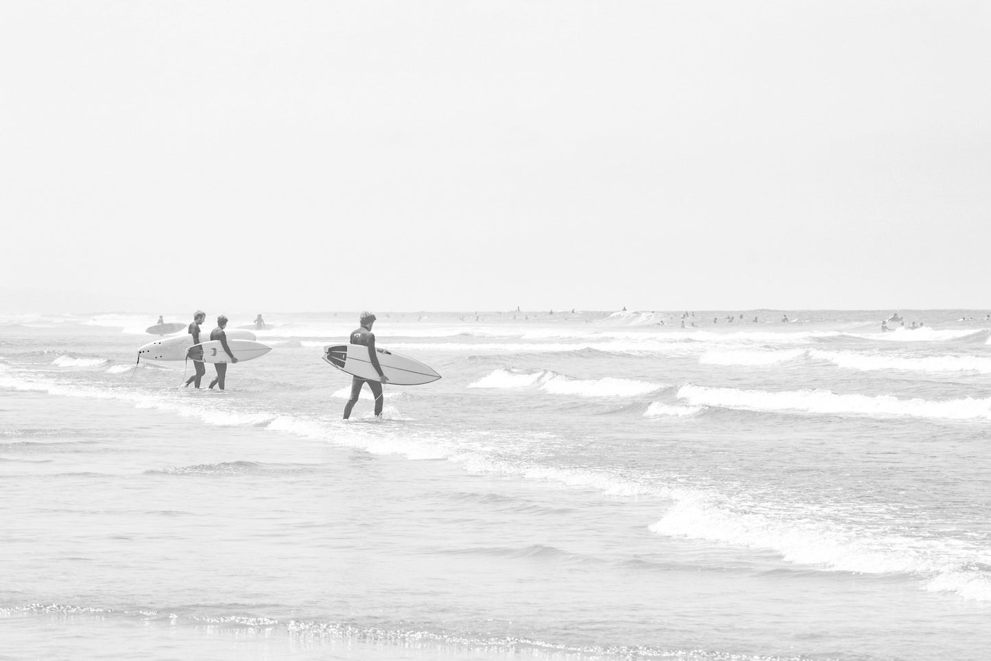 Photography by Salt Creek Prints of: Moonlight Beach 4159, black and white print, surfers walking into the water with waves.
