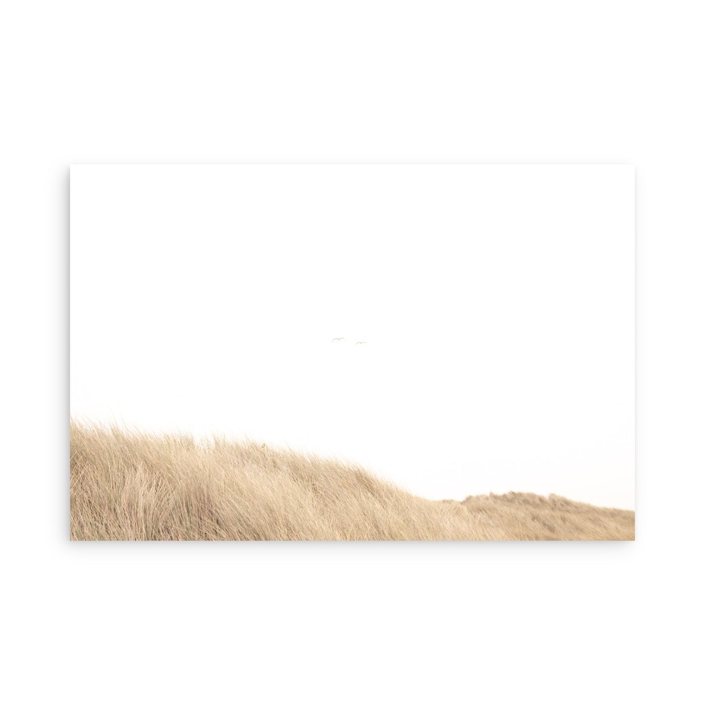 Salmon Creek Beach 7602