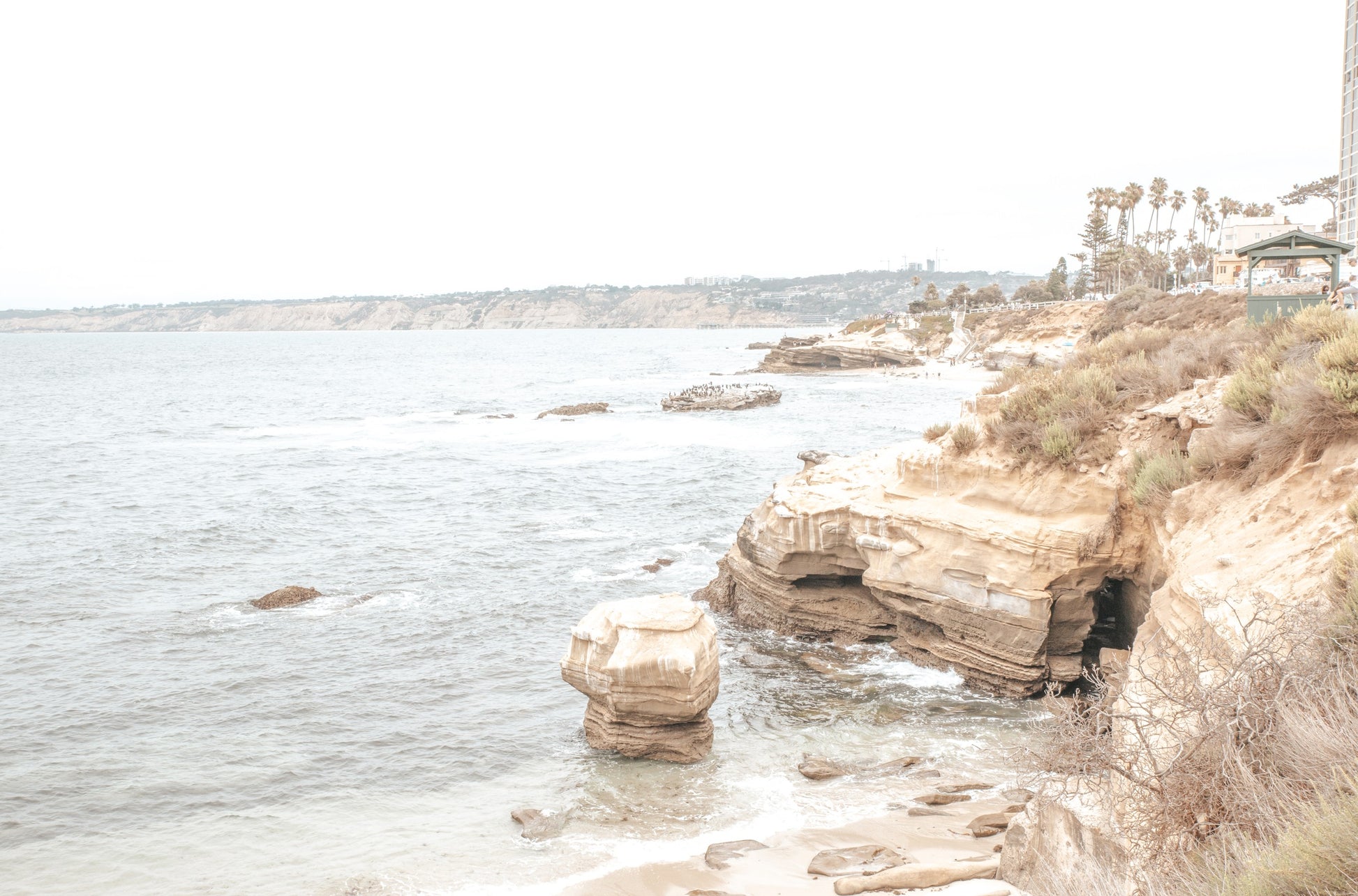 Photography by Kim Dybczak of: La Jolla Cove 5730