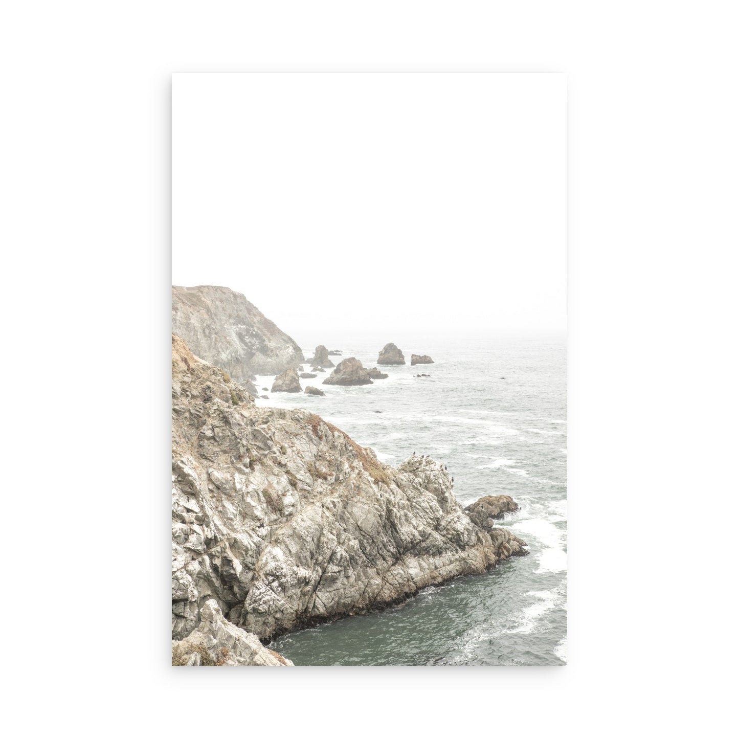 Bodega Head 7724