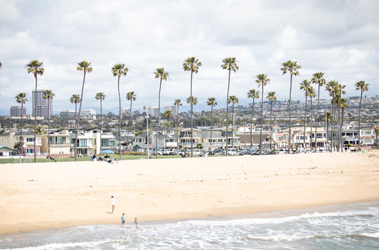 Photography by Kim Dybczak of: Palm trees line the coast at California, rising above the shoreline and open water.