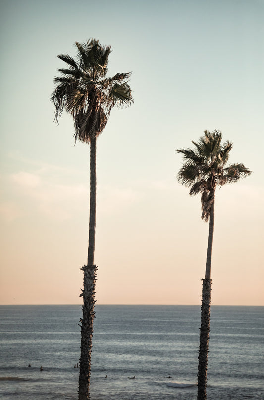 Photography by Kim Dybczak of: Cardiff 6278