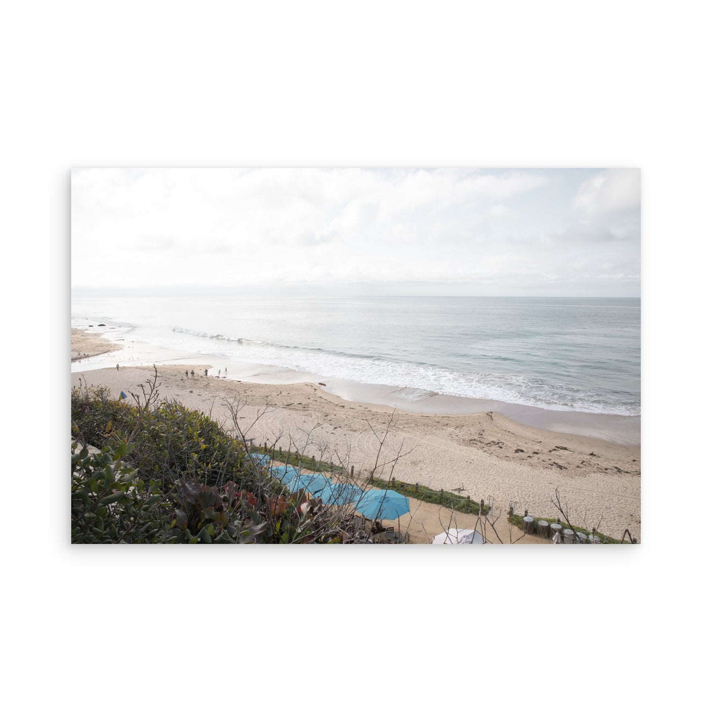 Crystal Cove 6376
