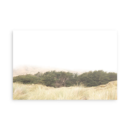 Bodega Bay 7617