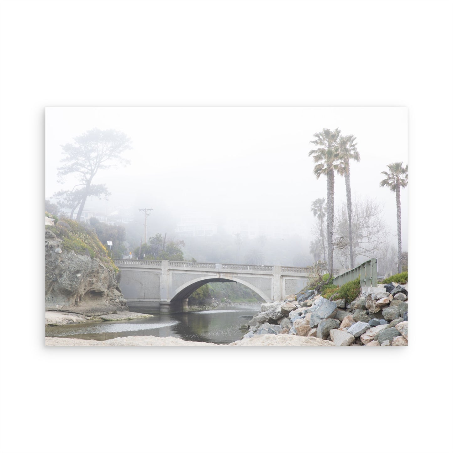 Laguna Beach 7981