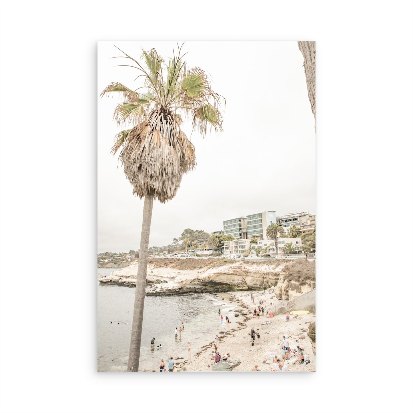 La Jolla Cove 5605