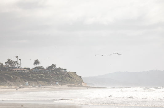 Photography by Kim Dybczak of: Cardif by the Sea 5200