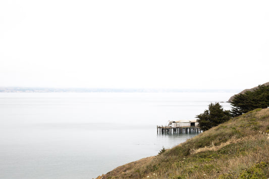 Photography by Salt Creek Prints of: Point Reyes 7376, The rolling hills of Point Reyes above Drakes Bay, California.