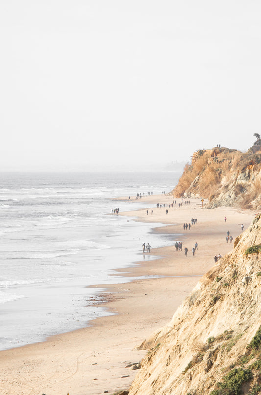 Photography by Kim Dybczak of: Rugged cliffs at Torrey Pines drop toward the Pacific, shaping a dramatic coastline.
