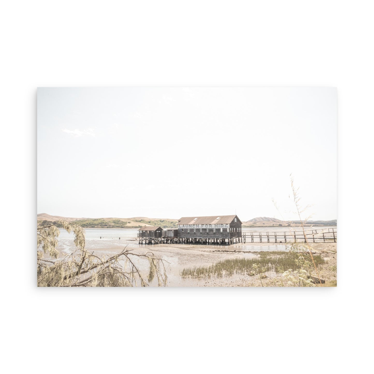Tomales Bay 7146