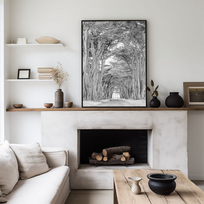 Framed photo of: Cypress Tree Tunnel 7171 displayed above a fireplace.