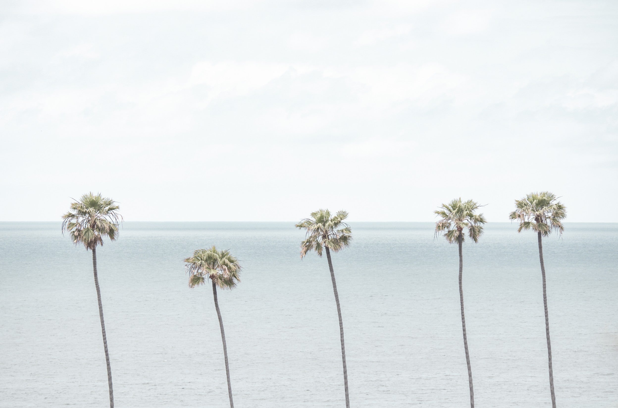 Coastal-Beach – Salt Creek Prints