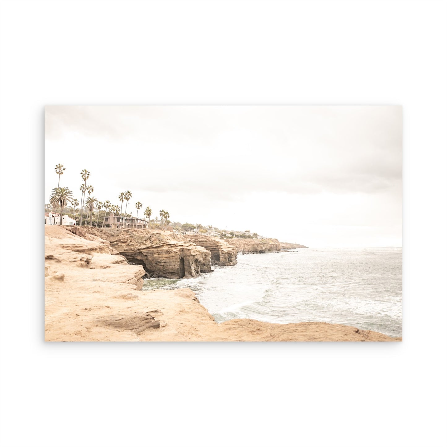 Sunset Cliffs 4353
