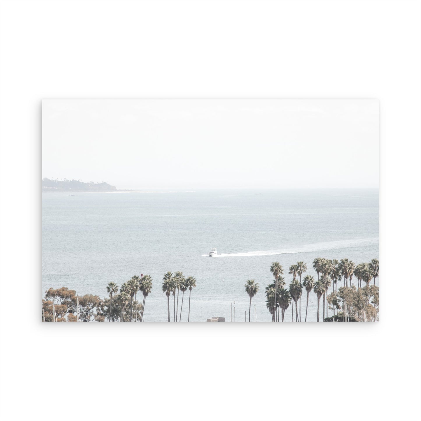 Dana Point 6845