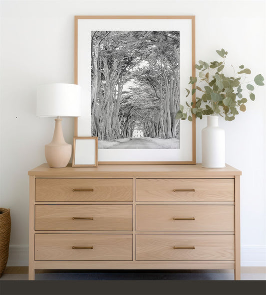 Framed photo of: Cypress Tree Tunnel 7171 displayed above a dresser.