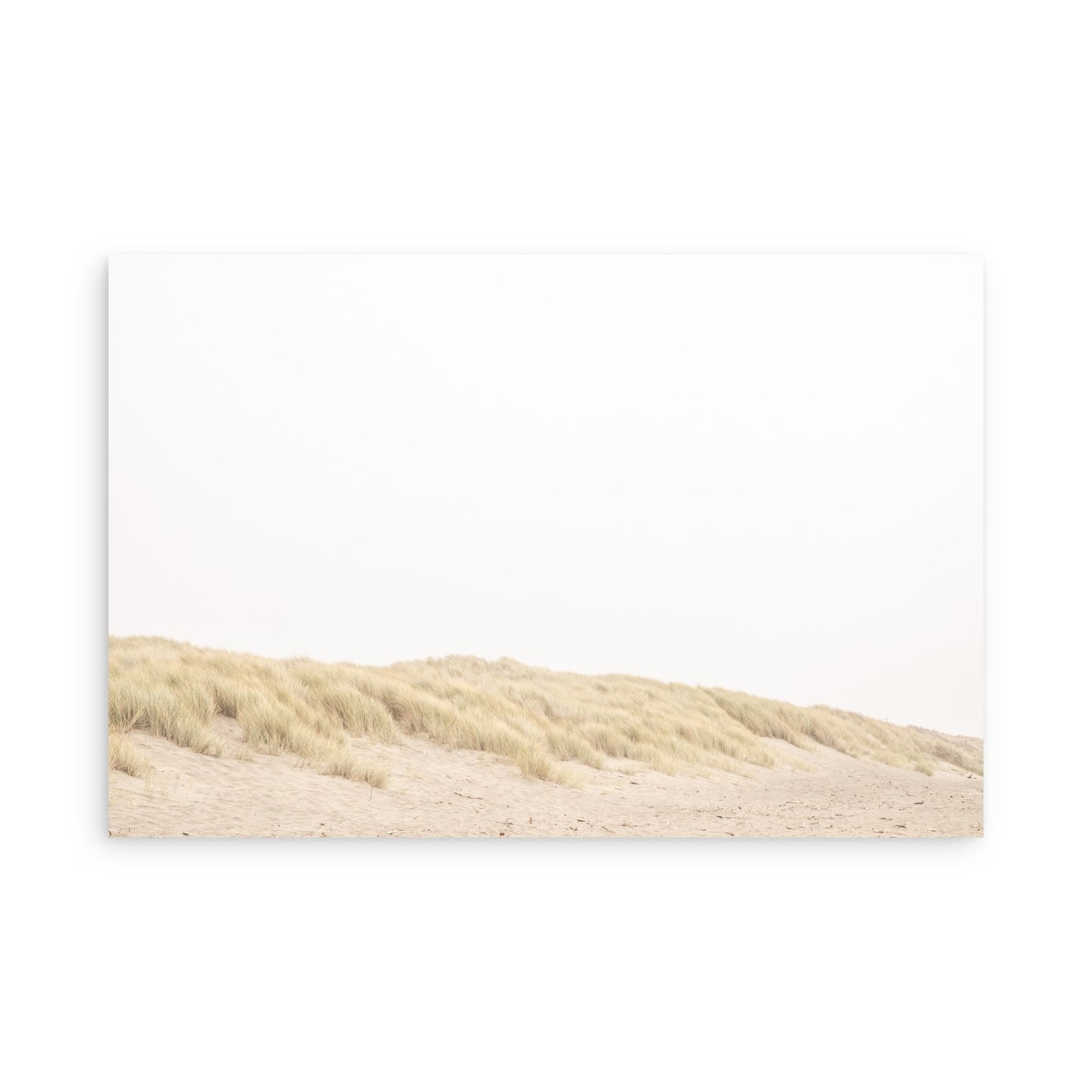 Salmon Creek Beach 7575