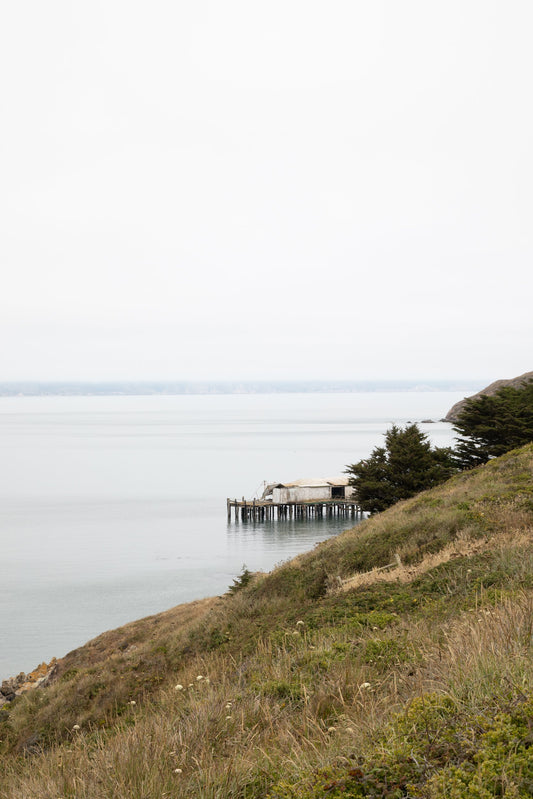 Photography by Salt Creek Prints of: Point Reyes 7379, The rolling hills of Point Reyes above Drakes Bay, California.