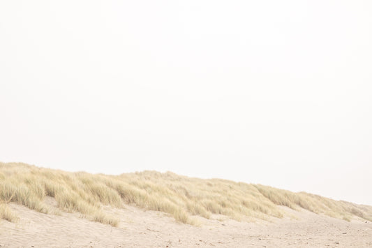 Photography by Salt Creek Prints of: Salmon Creek Beach 7575, Minimalist grassy dunes of Salmon Creek Beach, Bodega Bay, California.