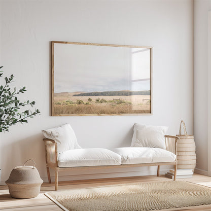 Framed photo of: Point Reyes 7153 displayed above a couch in a neutral room.