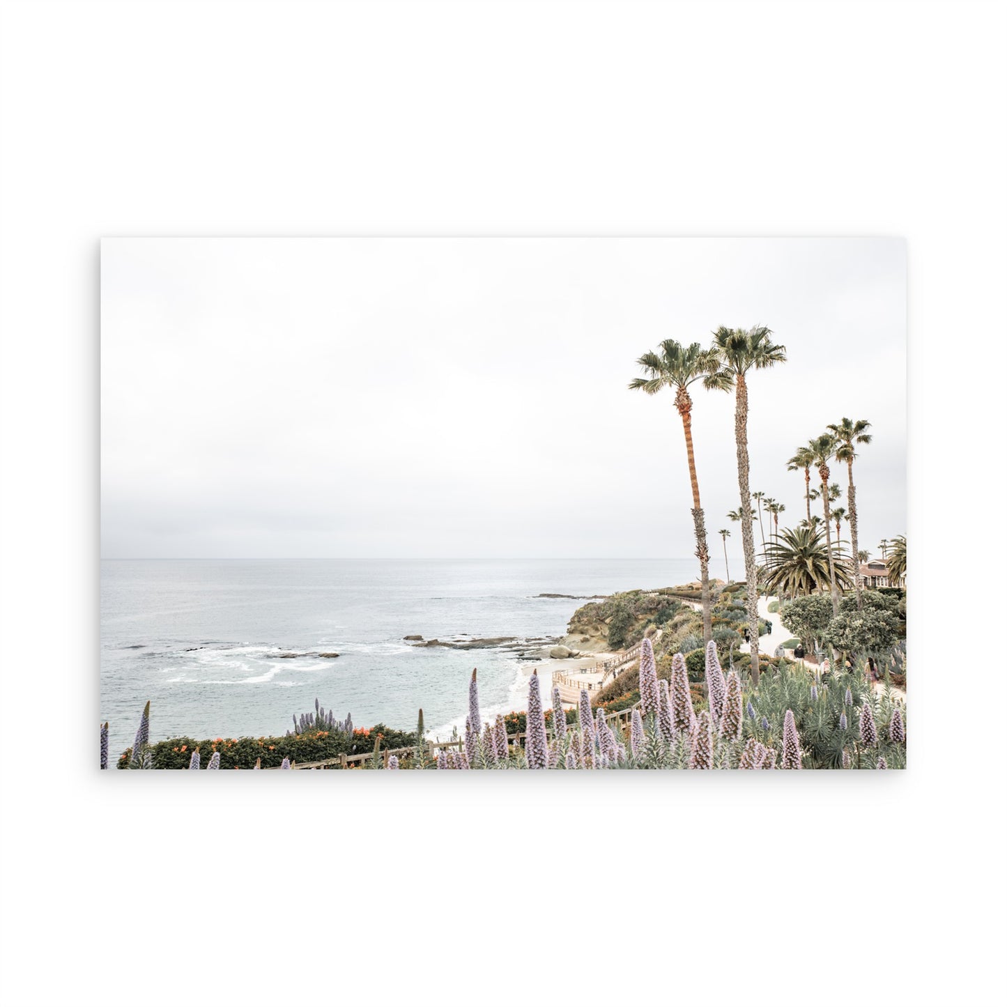 Laguna Beach 8063