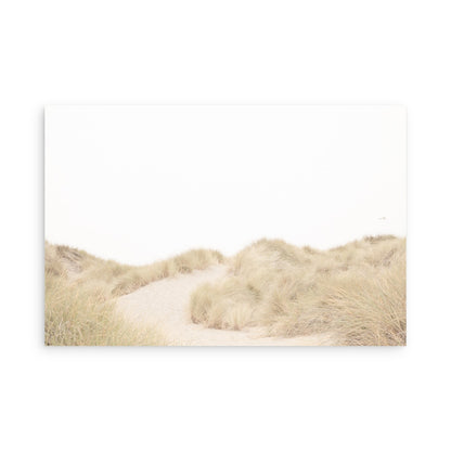 Salmon Creek Beach 7625