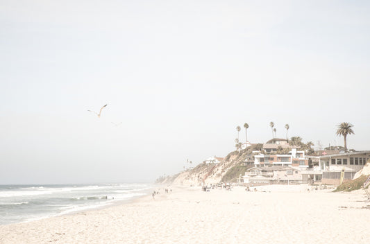 Photography by Kim Dybczak of: Cliffs and beach meet at Encinitas, forming a bold edge between land and sea.