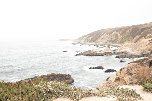 Photography by Salt Creek Prints of: Bodega Head 7728, Rugged serene coastline of Bodega Head, Bodega Bay, California