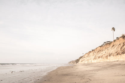 Photography by Kim Dybczak of: Palm trees line the coast, rising above the shoreline and open water.