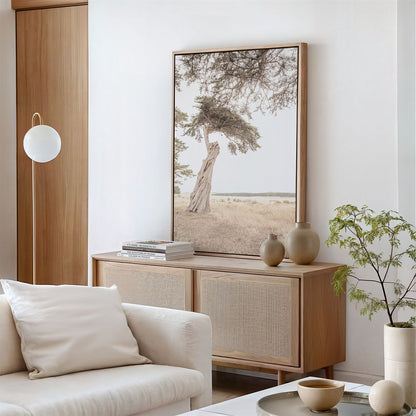Framed photo of: Point Reyes 7157 displayed above a console in a neutral room.