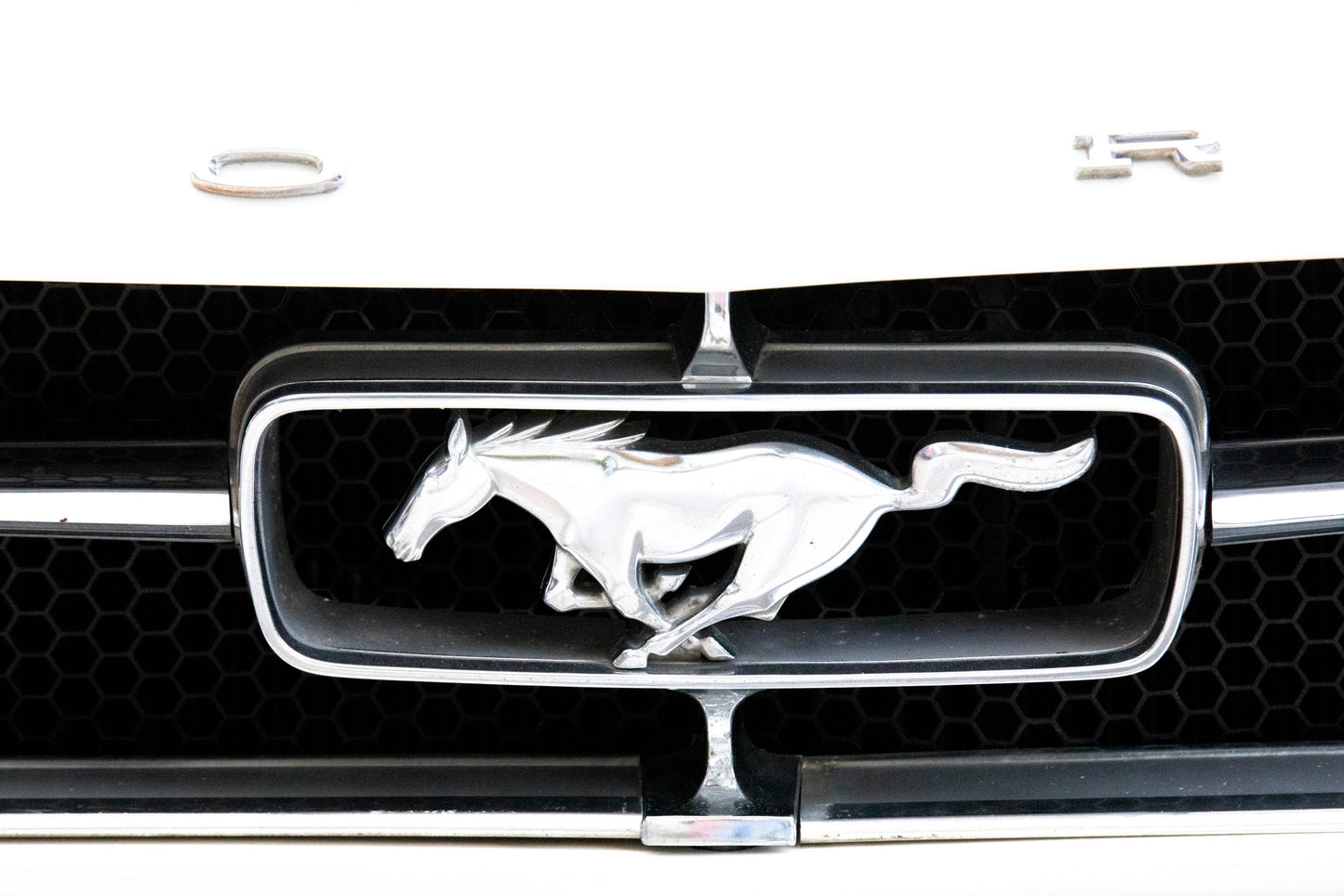 Photography by Salt Creek Prints of: Ford 8021, Close up image of the front horse logo of a vintage 1960s Ford Mustang.