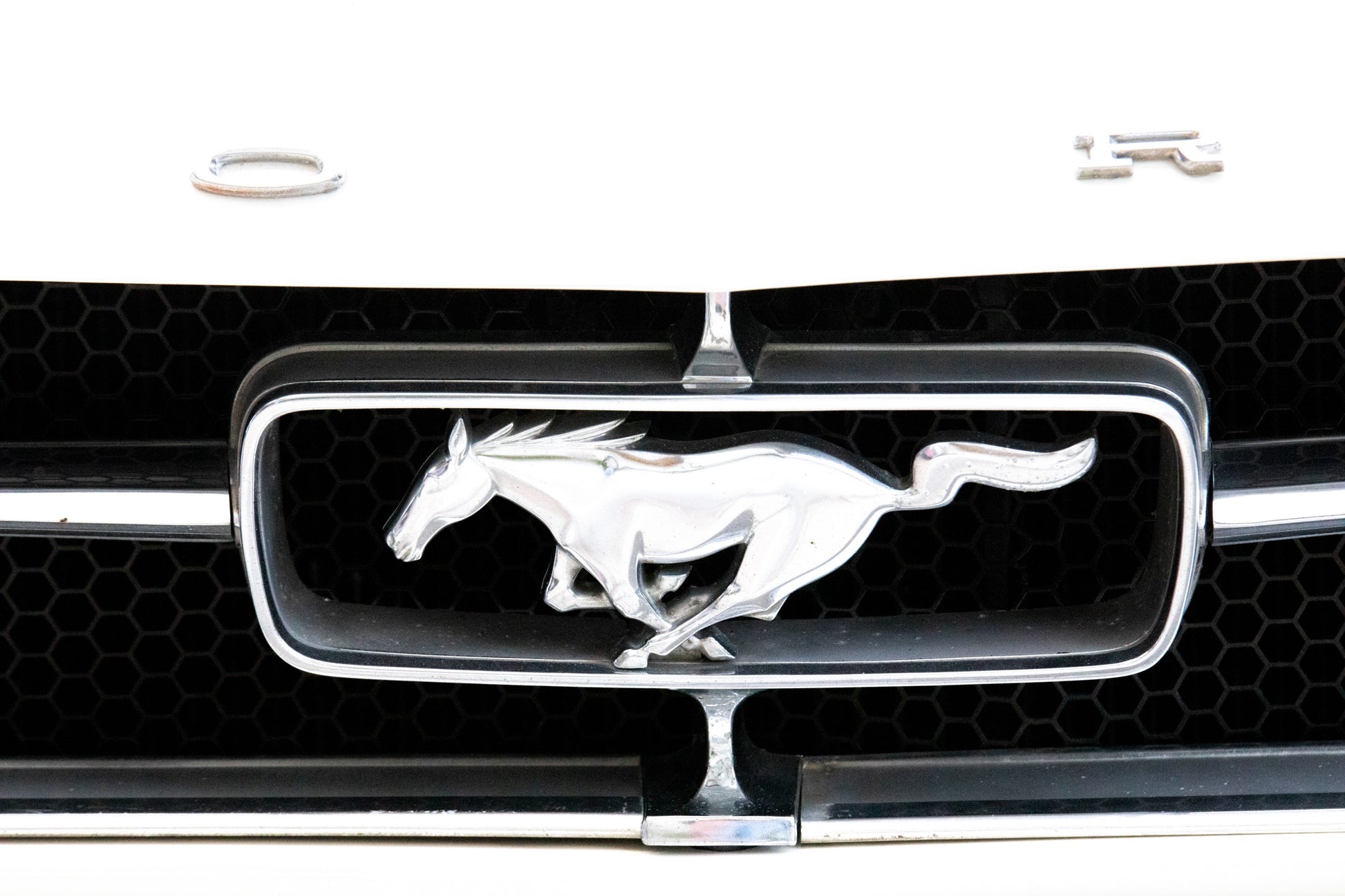 Photography by Salt Creek Prints of: Ford 8021, Close up image of the front horse logo of a vintage 1960s Ford Mustang.