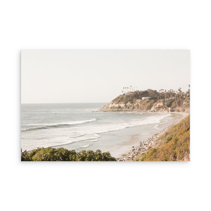 Swamis 8645
