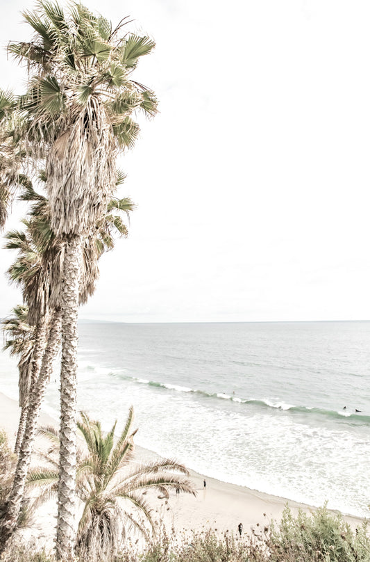 Photography by Kim Dybczak of: Tall palm trees rise above Swamis Beach in a dreamy coastal scene.
