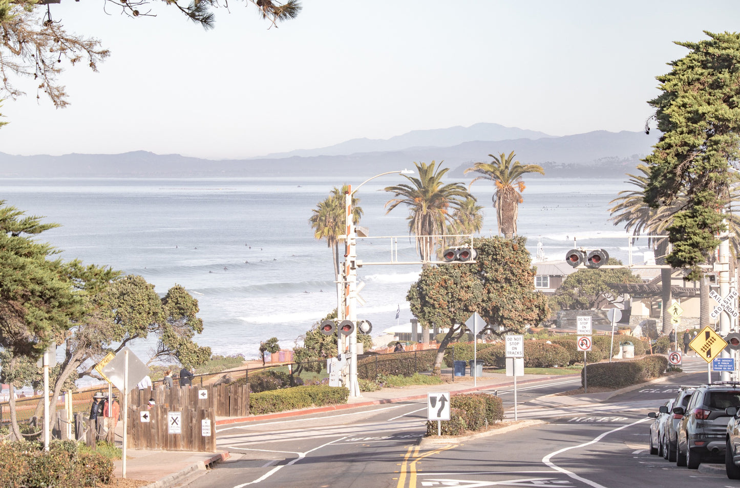 Photography by Kim Dybczak of: A coastal road curves past palm trees with the ocean stretching behind it.