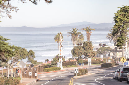 Photography by Kim Dybczak of: A coastal road curves past palm trees with the ocean stretching behind it.