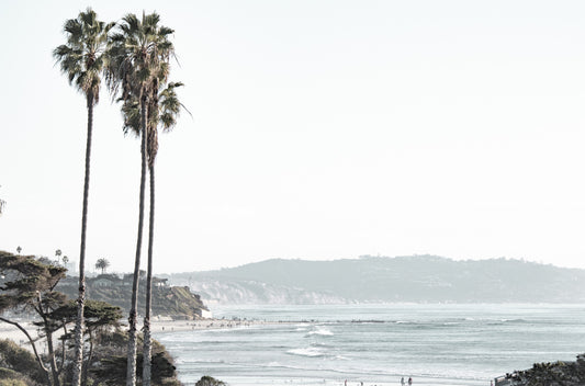 Photography by Kim Dybczak of: Cardiff 6222