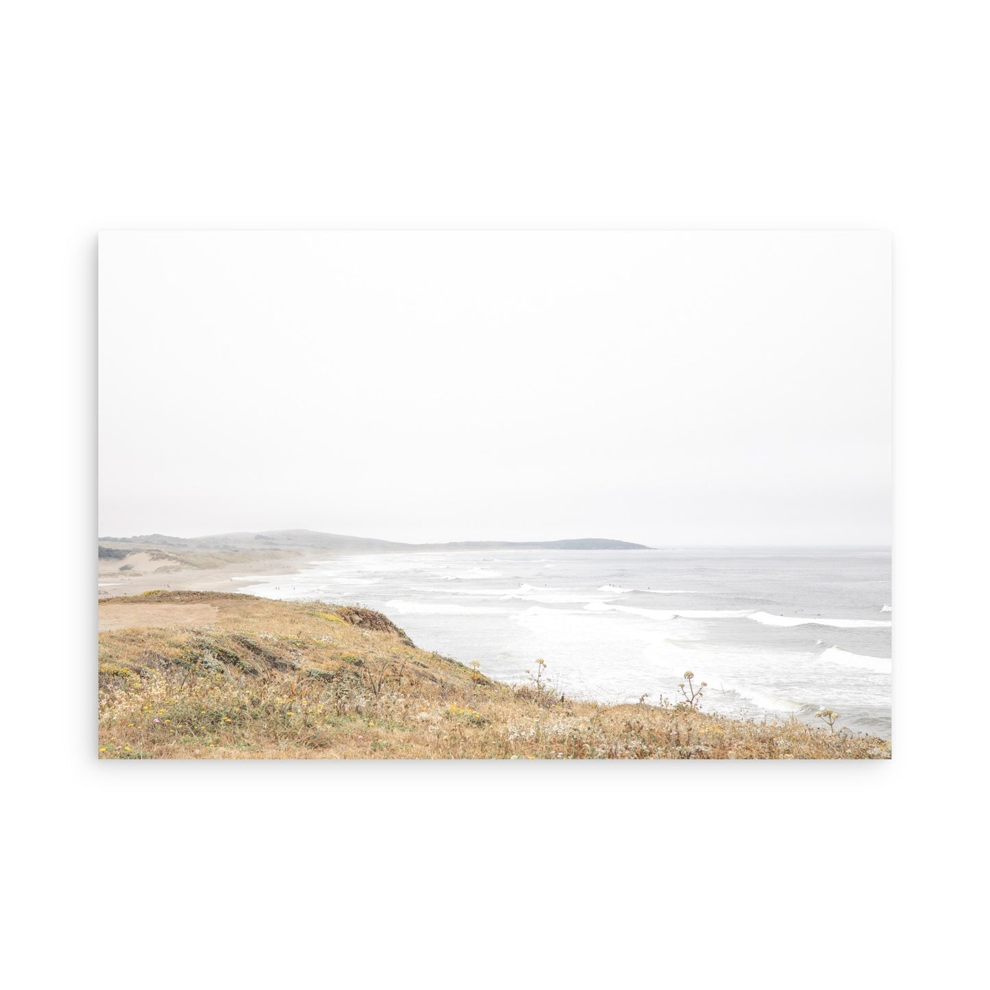 Salmon Creek Beach 7456