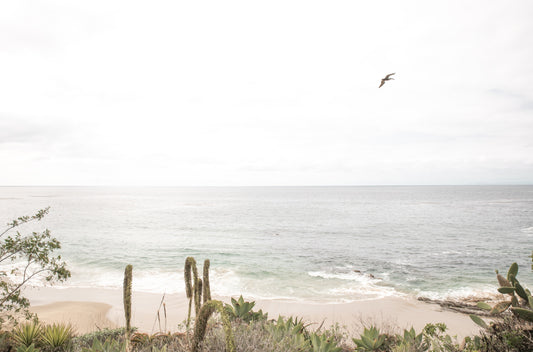 Photography by Kim Dybczak of: Laguna 6567