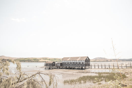 Photography by Salt Creek Prints of: Tomales Bay 7146, Old boat launch in the water facing rolling hills of Marin County, California.