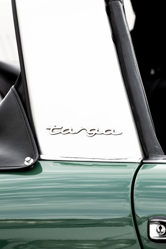 Photography by Salt Creek Prints of: Targa 8000, Close up image of the side of a classic vintage Targa Porsche in dark green and white.