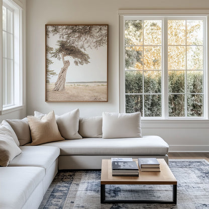 Framed photo of: Point Reyes 7157 in a modern living room above a couch.