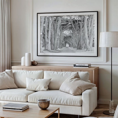 Framed photo of: Cypress Tree Tunnel 7163 displayed above a couch in a modern living room.