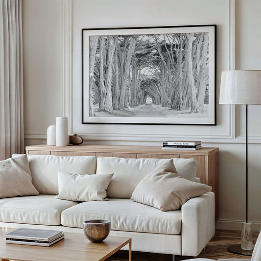 Framed photo of: Cypress Tree Tunnel 7163 displayed above a couch in a modern living room.