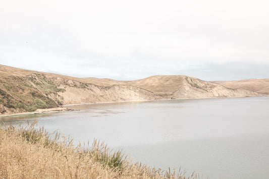 Photography by Salt Creek Prints of: Drakes Bay 7384, The rolling hills of Point Reyes above Drakes Bay, California.