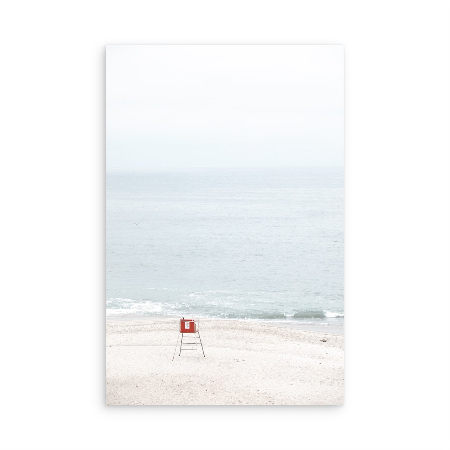 Laguna Beach 8081