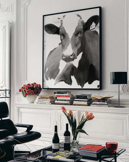 Framed photo of: Cow 7199 displayed on a wall above a console in a Parisian style room.