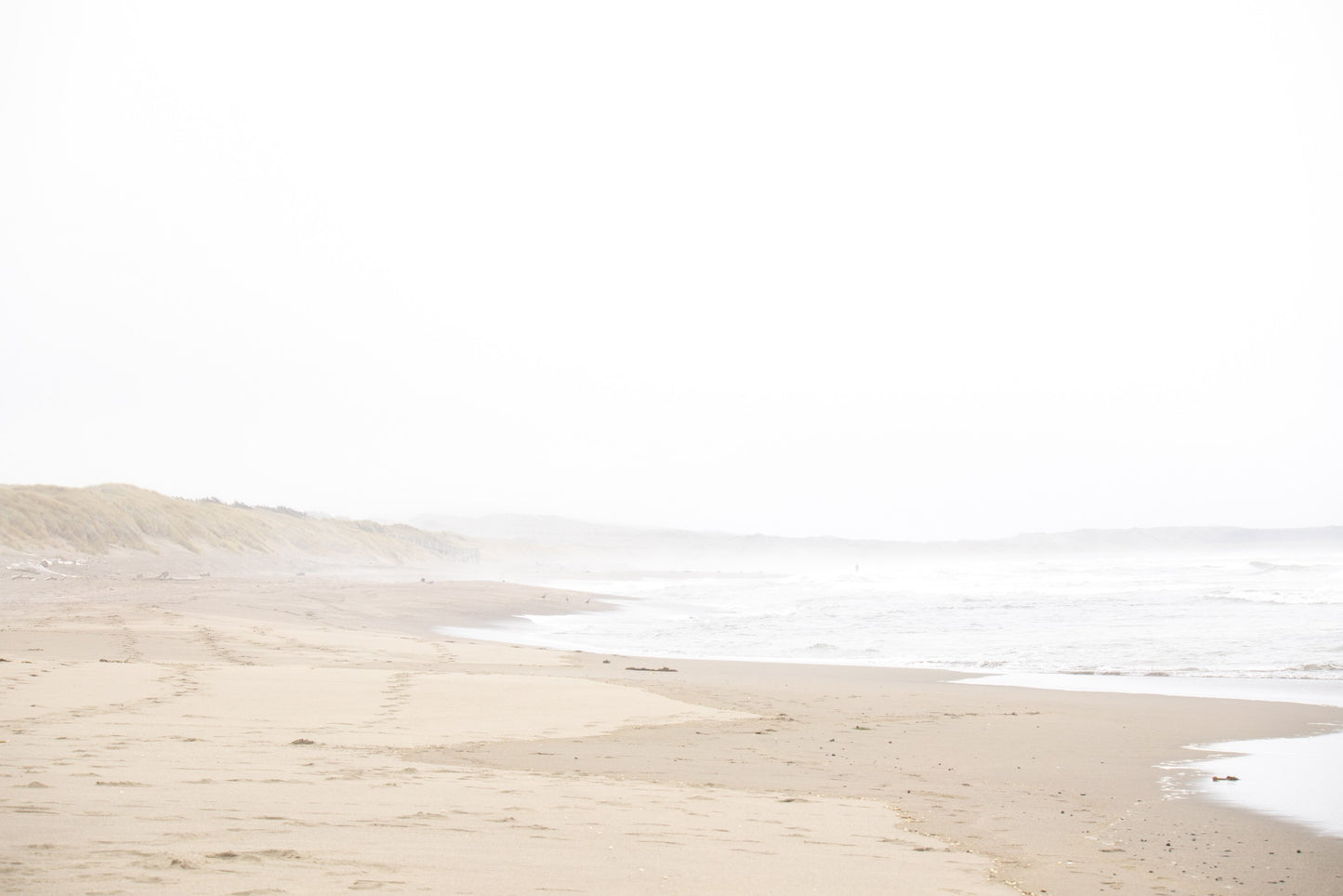 Photography by Salt Creek Prints of: Salmon Creek Beach 7569, The coastline of Salmon Creek Beach, Bodega Bay.